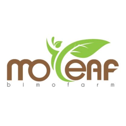 Moleaf Official Store .
